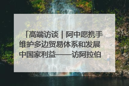 高端访谈｜阿中愿携手维护多边贸易体系和发展中国家利益——访阿拉伯议会议长亚马希