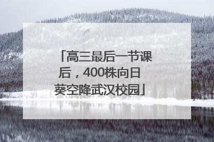 高三最后一节课后，400株向日葵空降武汉校园