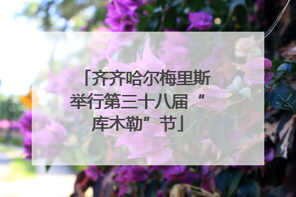 齐齐哈尔梅里斯举行第三十八届“库木勒”节