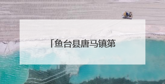 鱼台县唐马镇第一书记工作队助力“三夏生产”