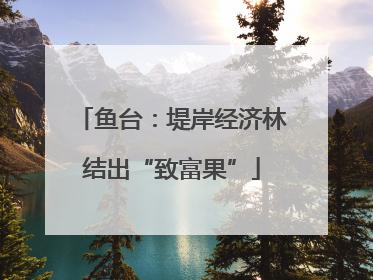 鱼台：堤岸经济林结出“致富果”