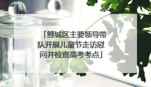 鲤城区主要领导带队开展儿童节走访慰问并检查高考考点