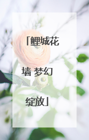 鲤城花墙 梦幻绽放