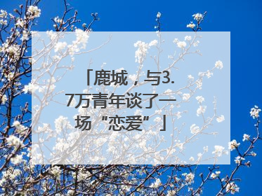 鹿城，与3.7万青年谈了一场“恋爱”