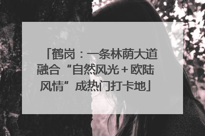 鹤岗：一条林荫大道融合“自然风光＋欧陆风情”成热门打卡地