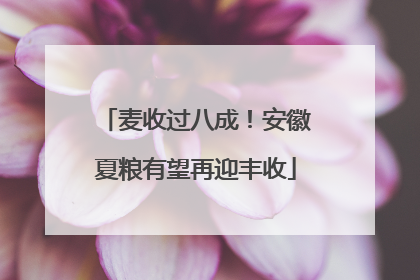 麦收过八成！安徽夏粮有望再迎丰收