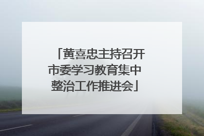 黄喜忠主持召开市委学习教育集中整治工作推进会
