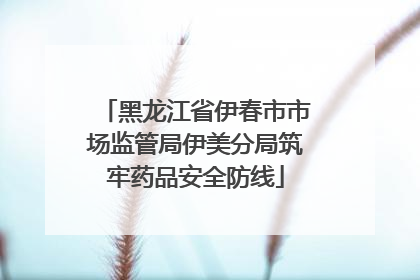 黑龙江省伊春市市场监管局伊美分局筑牢药品安全防线
