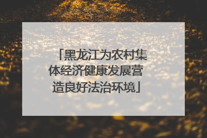 黑龙江为农村集体经济健康发展营造良好法治环境