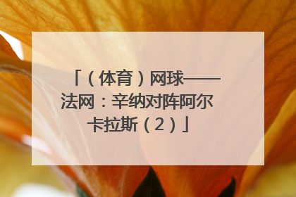 （体育）网球——法网：辛纳对阵阿尔卡拉斯（2）