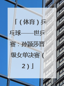 （体育）乒乓球——世乒赛：孙颖莎晋级女单决赛（2）