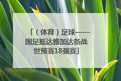 （体育）足球——国足抵达雅加达备战世预赛18强赛