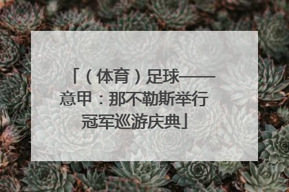 （体育）足球——意甲：那不勒斯举行冠军巡游庆典
