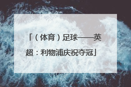 （体育）足球——英超：利物浦庆祝夺冠