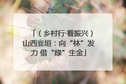 （乡村行·看振兴）山西襄垣：向“林”发力 借“绿”生金