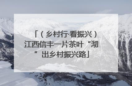 （乡村行·看振兴）江西信丰一片茶叶“沏”出乡村振兴路