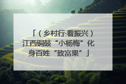 （乡村行·看振兴）江西铜鼓“小杨梅”化身百姓“致富果”