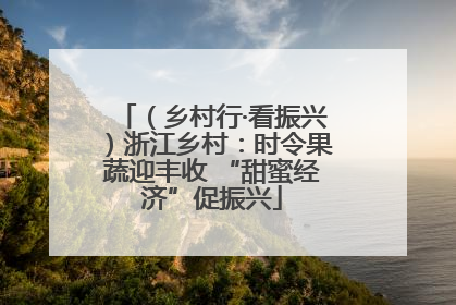 （乡村行·看振兴）浙江乡村：时令果蔬迎丰收 “甜蜜经济”促振兴