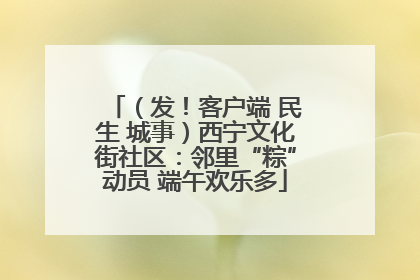 （发！客户端 民生 城事）西宁文化街社区：邻里“粽”动员 端午欢乐多