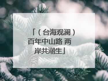 （台海观澜）百年中山路 两岸共潮生