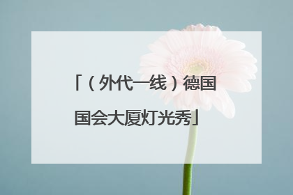 （外代一线）德国国会大厦灯光秀
