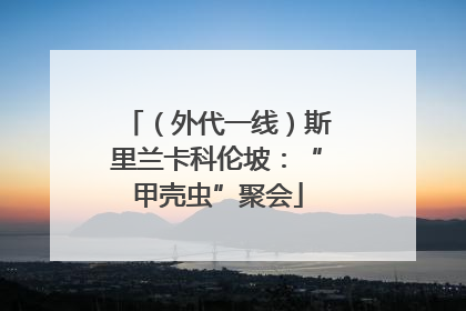 （外代一线）斯里兰卡科伦坡：“甲壳虫”聚会