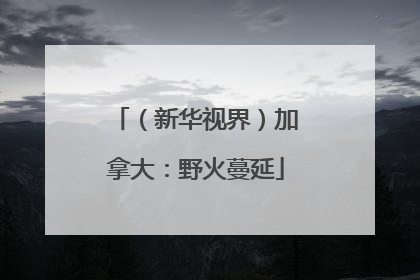 （新华视界）加拿大：野火蔓延