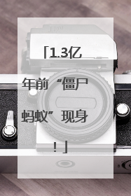 1.3亿年前“僵尸蚂蚁”现身！
