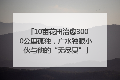10亩花田治愈3000公里孤独，广水独眼小伙与他的“无尽夏”