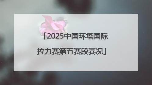 2025中国环塔国际拉力赛第五赛段赛况