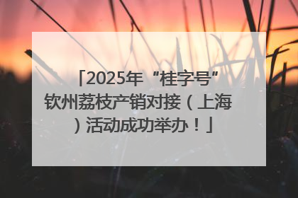 2025年“桂字号”钦州荔枝产销对接（上海）活动成功举办！