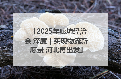 2025年廊坊经洽会·深度｜实现物流新愿景 河北再出发
