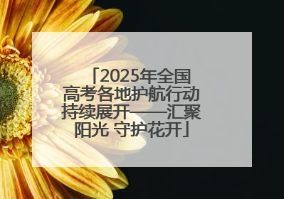 2025年全国高考各地护航行动持续展开——汇聚阳光 守护花开