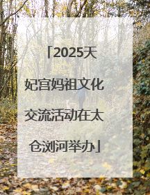 2025天妃宫妈祖文化交流活动在太仓浏河举办