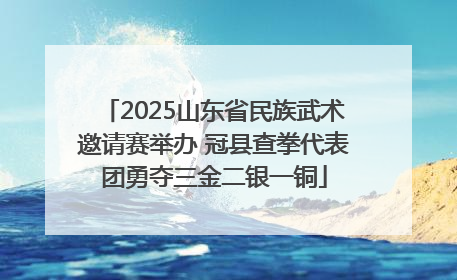 2025山东省民族武术邀请赛举办 冠县查拳代表团勇夺三金二银一铜