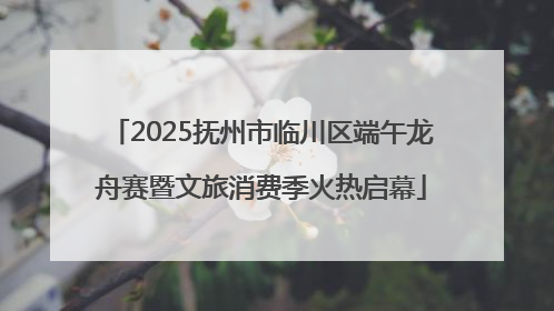 2025抚州市临川区端午龙舟赛暨文旅消费季火热启幕