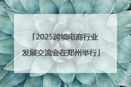 2025跨境电商行业发展交流会在郑州举行
