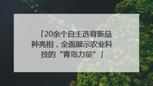 20余个自主选育新品种亮相，全面展示农业科技的“青岛力量”