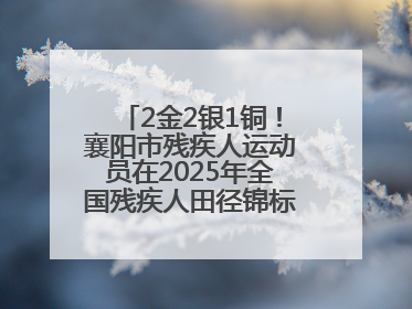 2金2银1铜！襄阳市残疾人运动员在2025年全国残疾人田径锦标赛获佳绩