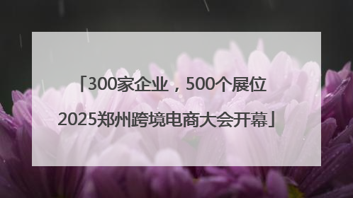 300家企业，500个展位 2025郑州跨境电商大会开幕