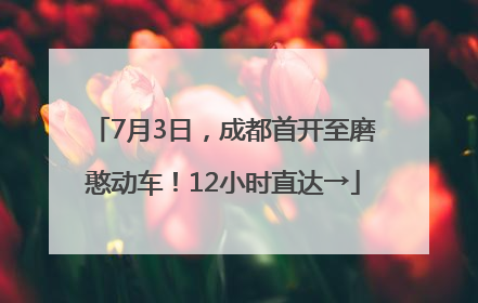 7月3日，成都首开至磨憨动车！12小时直达→