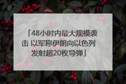 48小时内最大规模袭击 以军称伊朗向以色列发射超20枚导弹