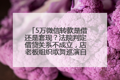 5万微信转款是借还是套现？法院判定借贷关系不成立，店老板组织歌舞巡演自我“恢复名誉”