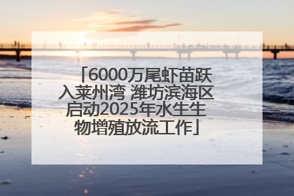 6000万尾虾苗跃入莱州湾 潍坊滨海区启动2025年水生生物增殖放流工作