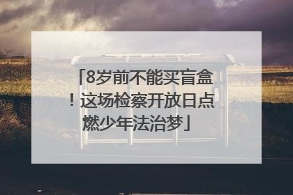 8岁前不能买盲盒！这场检察开放日点燃少年法治梦