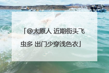 @太原人 近期街头飞虫多 出门少穿浅色衣