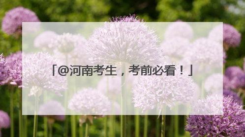 @河南考生，考前必看！