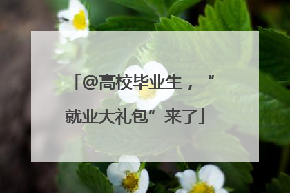 @高校毕业生，“就业大礼包”来了