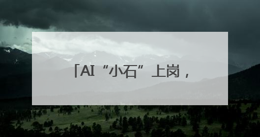 AI“小石”上岗，政务“边聊边办”