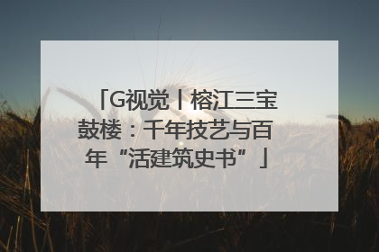G视觉丨榕江三宝鼓楼：千年技艺与百年“活建筑史书”